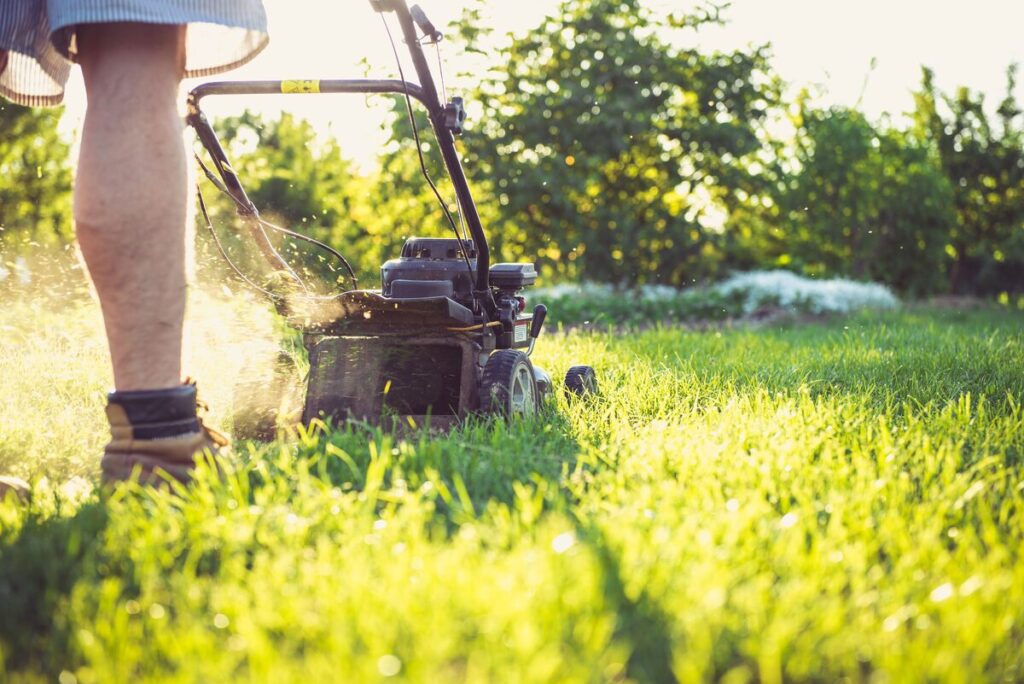 man mowing the lawn sunlit grass